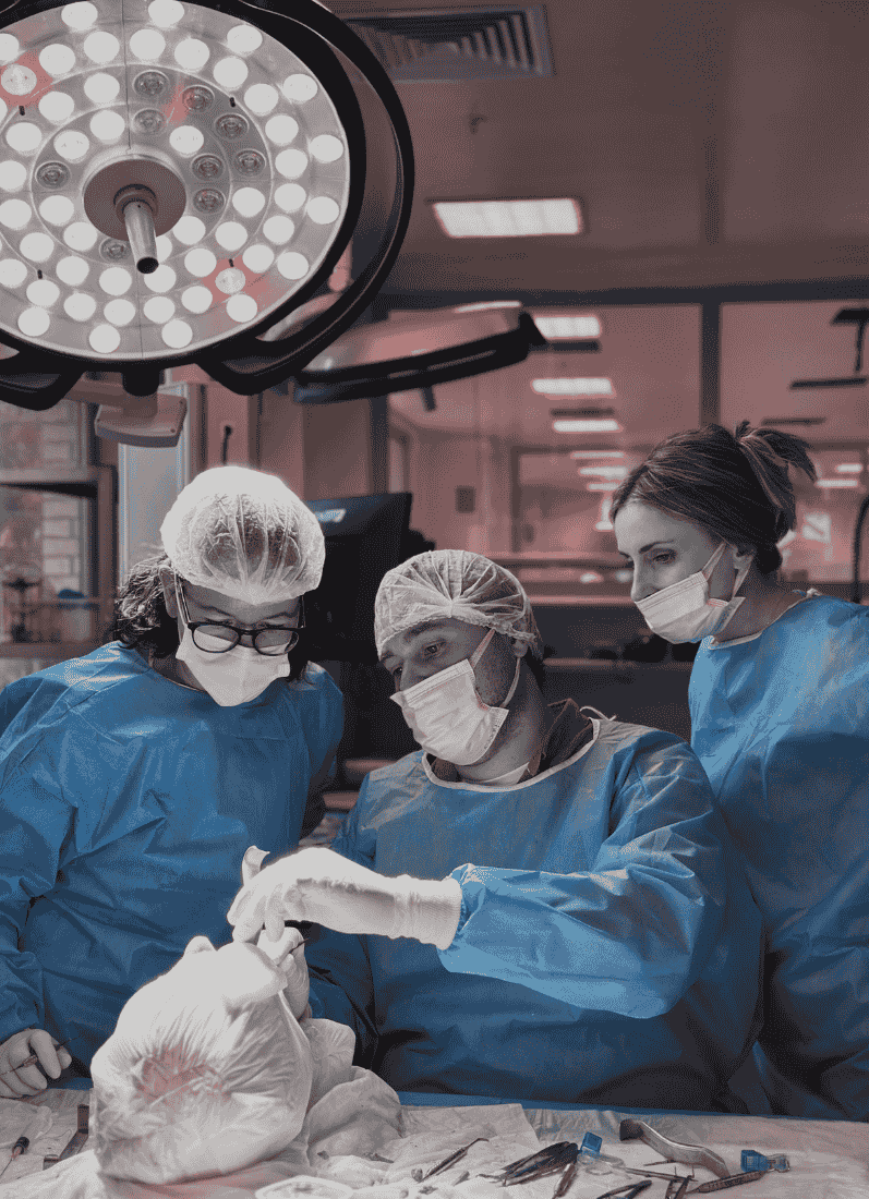 Medical professionals participating in a hands-on surgical anatomy course at an ARCAS Education training event.